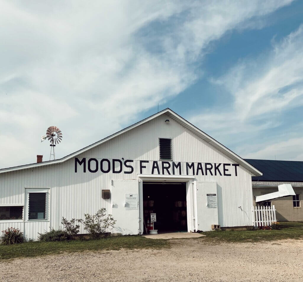 Sunday-Edit-moods-farm